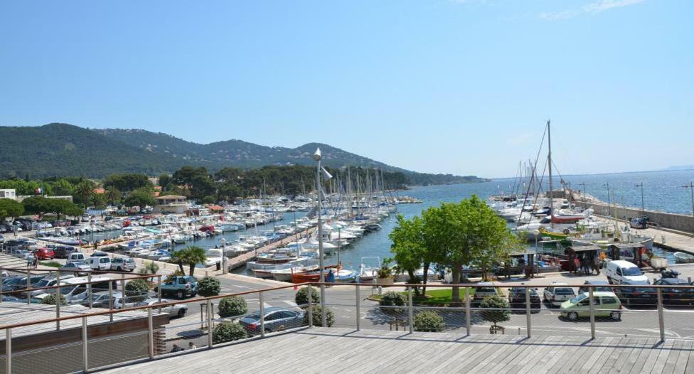 Appartamento Studio 4 personnes avec piscine, tennis Hyères Esterno foto
